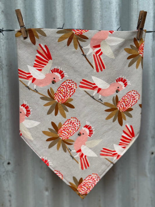 Major Mitchells & Flowers Scarf