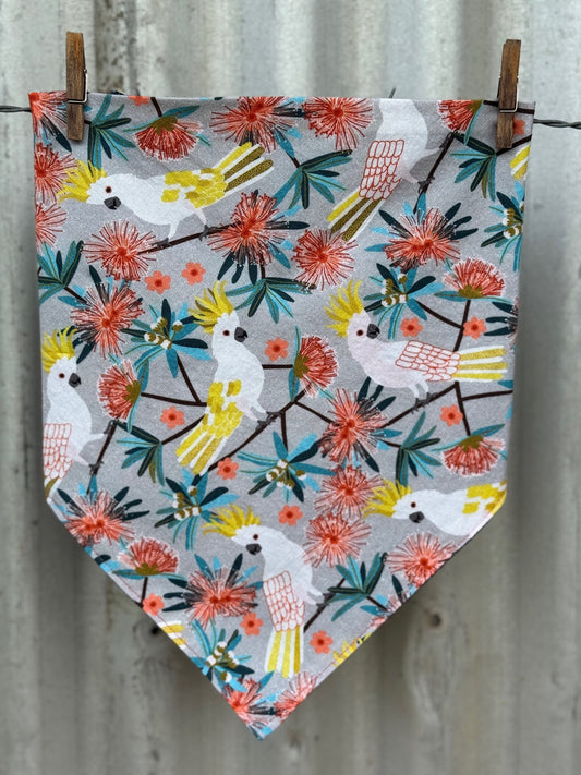 Cockatoos & Blossoms Scarf