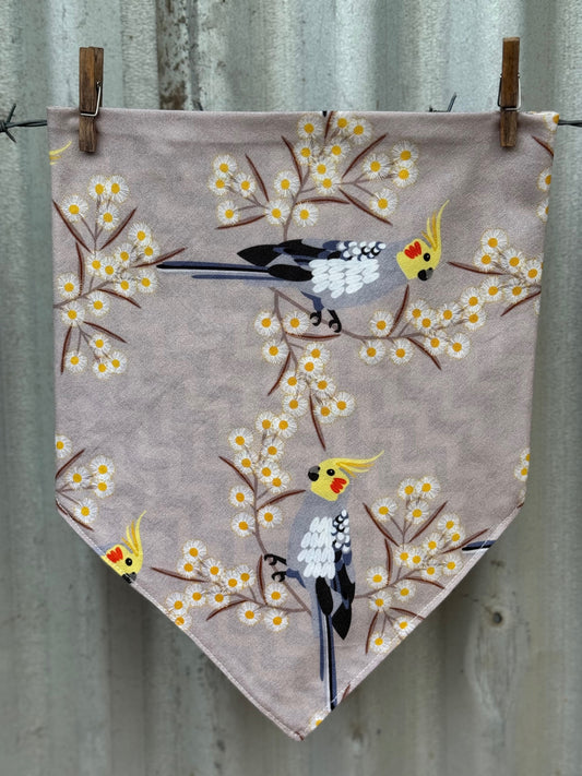 Cockatiels & Wattle Scarf