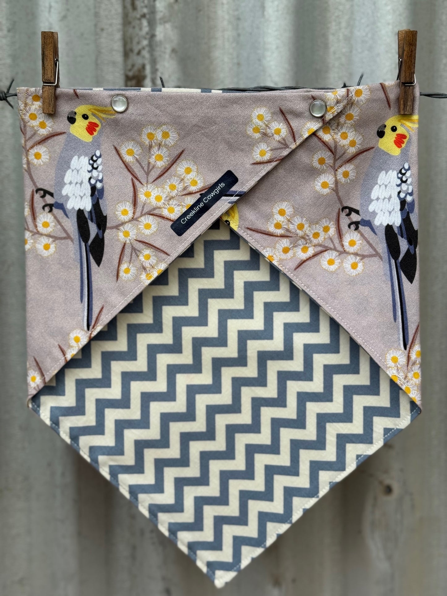 Cockatiels & Wattle Scarf