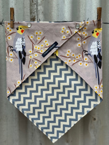 Cockatiels & Wattle Scarf