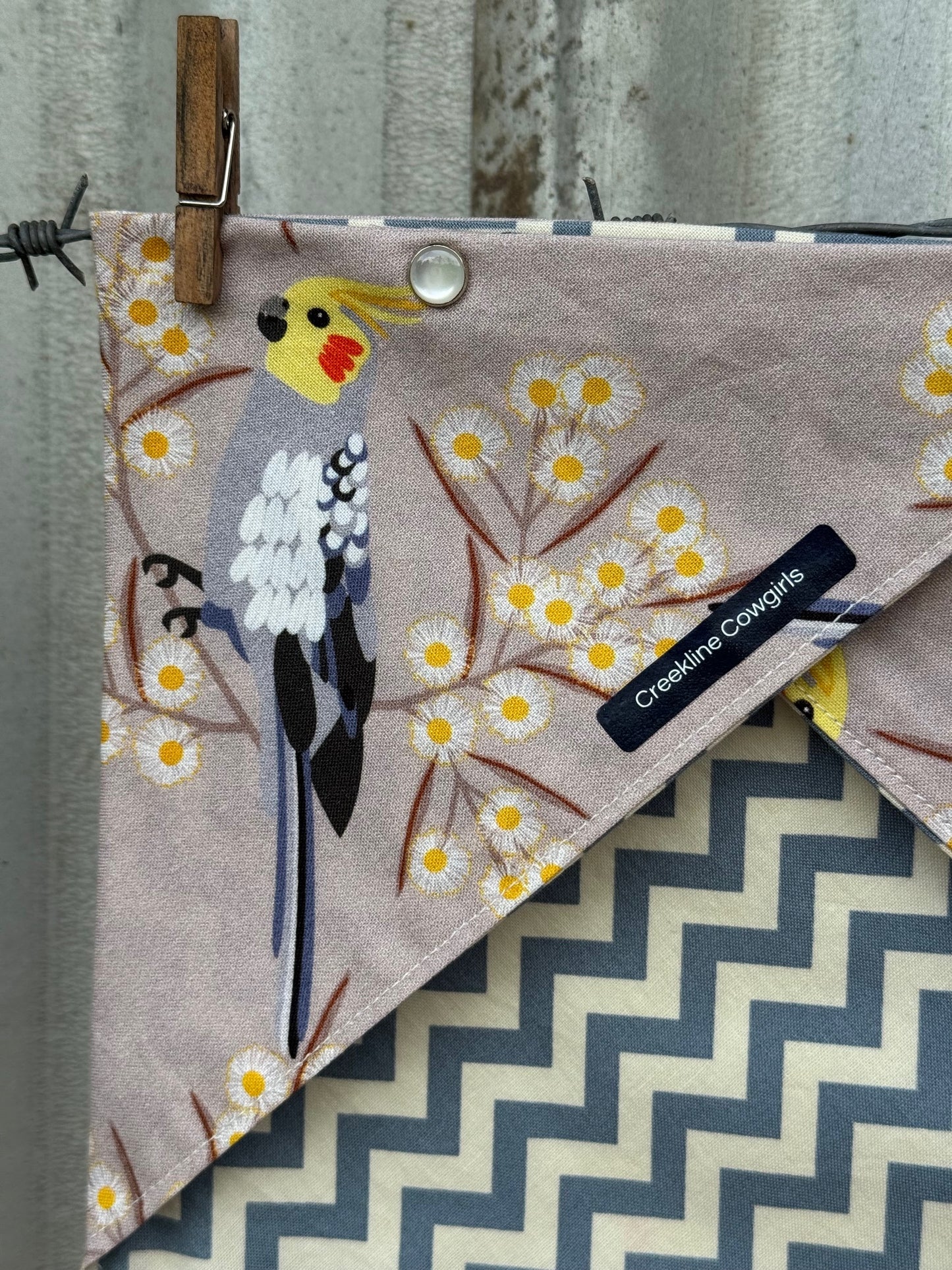 Cockatiels & Wattle Scarf
