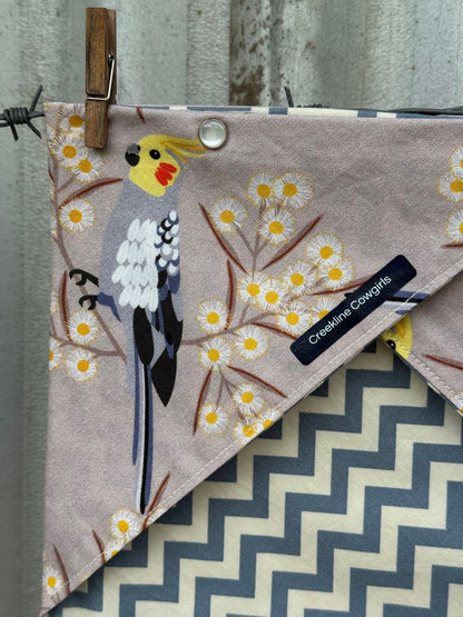 Cockatiels & Wattle Scarf