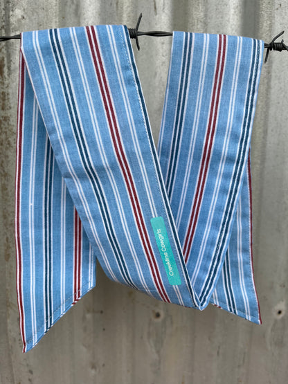Red & Blue Stripe Necktie