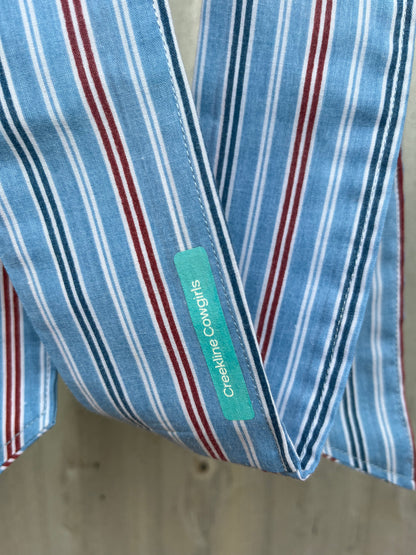 Red & Blue Stripe Necktie