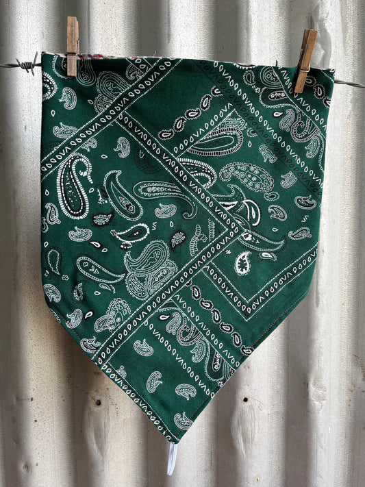Green Paisley & Check Scarf